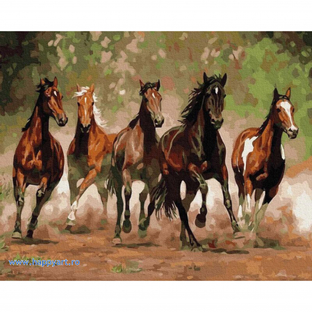 Picturi pe numere animale - Kit pictura pe numere Cursa de cai, cu sasiu, 40X50 cm, 28 culori
