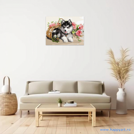 Kit pictura pe numere Catelus Husky, cu sasiu, 30x40 cm, 24 culori [1]