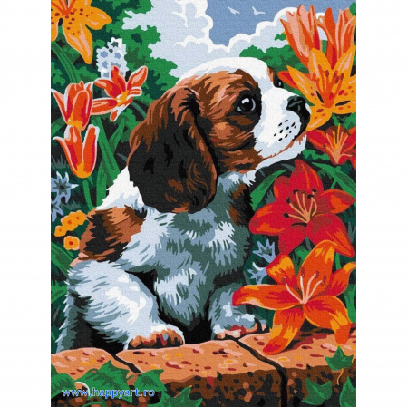 Picturi pe numere animale - Kit pictura pe numere Catelus in flori, cu sasiu, 30x40 cm, 18 culori
