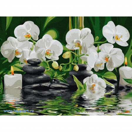 Picturi pe numere flori - Kit pictura pe numere Orhidee Zen, cu sasiu, 30x40 cm, 24 culoriKit pictura pe numere Orhidee Zen, cu sasiu, 30x40 cm, 24 culori