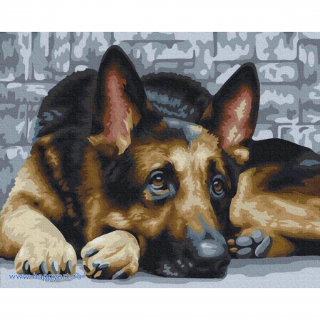 Picturi pe numere animale - Kit pictura pe numere, Fidelitate, cu sasiu, 50x65 cm, 23 culori