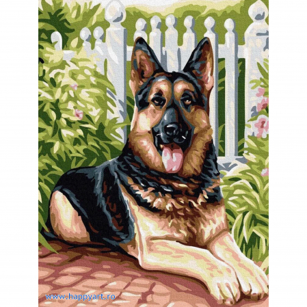 Picturi pe numere animale - Kit pictura pe numere Prieten bun, cu sasiu, 30x40 cm, 19 culori, PC3040037