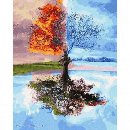 Picturi pe numere peisaje - Kit pictura pe numere Patru anotimpuri, cu sasiu, 50x65 cm, 29 culori