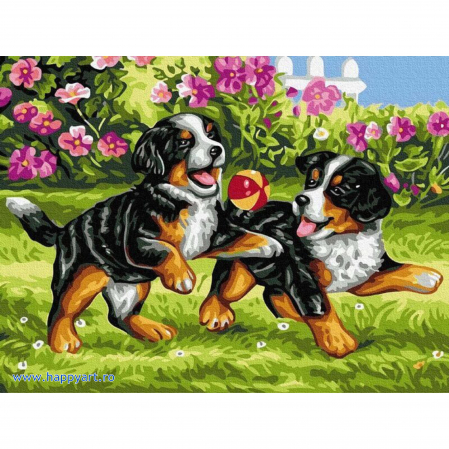 Picturi pe numere animale - Kit pictura pe numere Meci de fotbal, cu sasiu, 30x40 cm, 19 culori