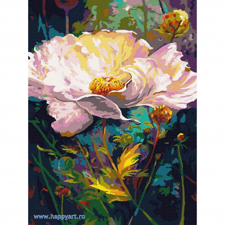 Picturi pe numere flori - Kit pictura pe numere Bujori salbatici, cu sasiu, 30x40 cm, 23 culori