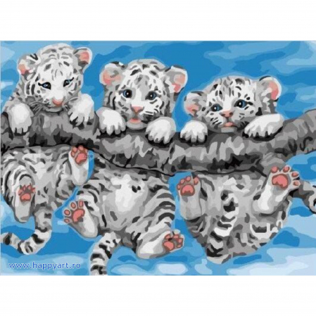 Picturi pe numere animale - Kit pictura pe numere Tigrisorii, cu sasiu, 30x40 cm, 20 culori