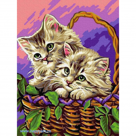 Picturi pe numere animale - Kit pictura pe numere Pisicute in cos, cu sasiu, 30x40 cm, 21 culori