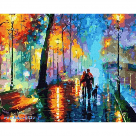 Picturi pe numere peisaje - Kit pictura pe numere, Plimbare in ploaie, cu sasiu, 50x65 cm, 36 culori