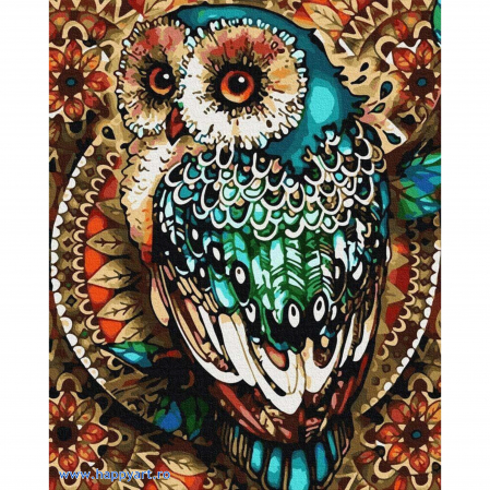 Picturi pe numere animale - Kit pictura pe numere, Bufnita turcoaz, cu sasiu, 50x65 cm, 25 culori