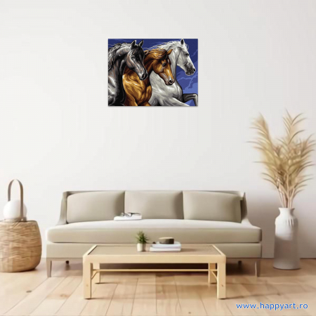Kit pictura pe numere Trei cai alergand, cu sasiu, 30x40 cm, 18 culori [1]