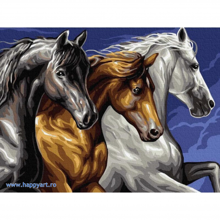 Picturi pe numere animale - Kit pictura pe numere Trei cai alergand, cu sasiu, 30x40 cm, 18 culori