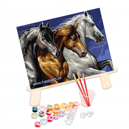 Kit pictura pe numere Trei cai alergand, cu sasiu, 30x40 cm, 18 culori [2]