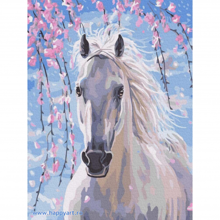 Picturi pe numere animale - Kit pictura pe numere Calul si florile, cu sasiu, 30x40 cm, 21 culori