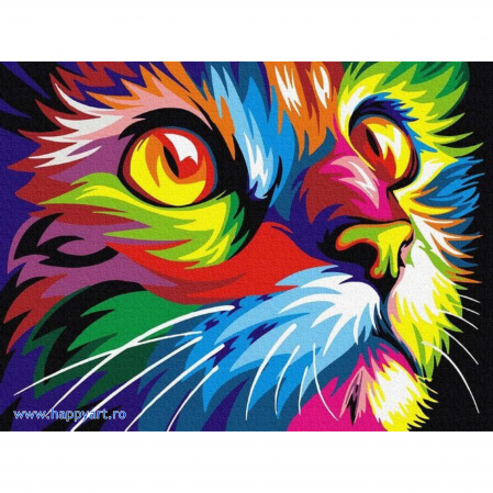Picturi pe numere animale - Kit pictura pe numere Pisica multicolora, cu sasiu, 30x40 cm, 17 culori, PC3040046