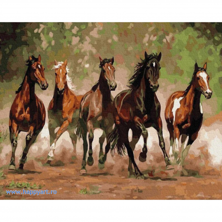 Picturi pe numere animale - Kit pictura pe numere Cai in galop, cu sasiu, 50x65 cm, 28 culori