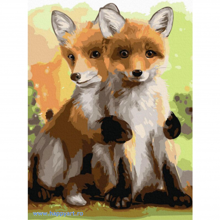 Picturi pe numere animale - Kit pictura pe numere Doua vulpite, cu sasiu, 30x40 cm, 24 culori
