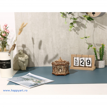 Puzzle 3D, Cutie muzicala, Gradina secreta, lemn, 315 piese, AMK52 [8]