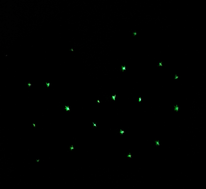 SSC Easy - Designer Print - Navy OZN, Baby [14]