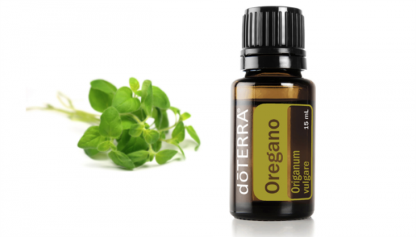 Ulei esential de Oregano, 15 ml [2]