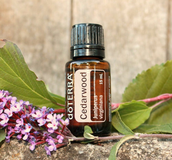 Ulei esential de cedru/ Cedarwood 15 ml [1]