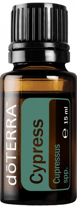 Ulei esential cypress (chiparos) 15 ml [1]