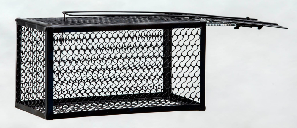 Cursă pentru Șobolani – Metalică – 28×14×14 cm – Culoare Negru [1]