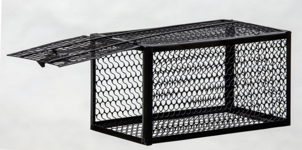 Cursă pentru Șobolani – Metalică – 28×14×14 cm – Culoare Negru [2]