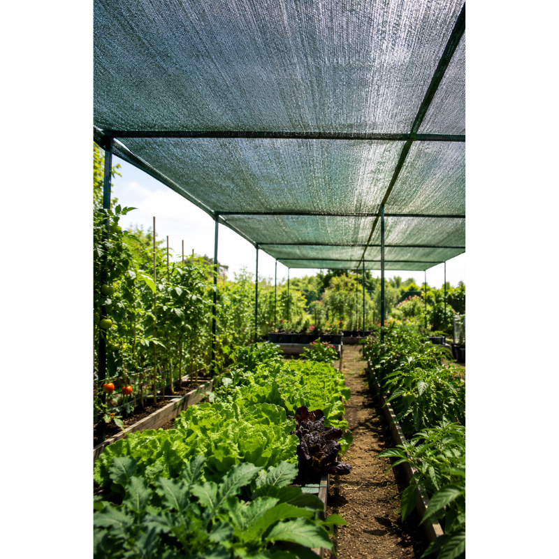 Plasă de Umbrire 2 x 10 m, 80 g/m², HDPE [3]