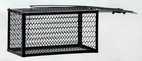 Accesorii curte - Cursă pentru Șobolani – Metalică – 28×14×14 cm – Culoare Negru