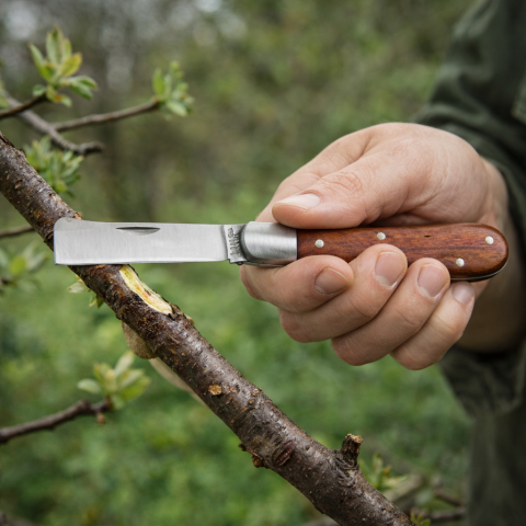 cutit-altoit-winland-hasinto [1]