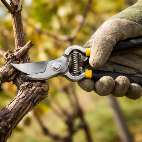 foarfeca-de-vie-forjata-ps745b-hasinto [1]