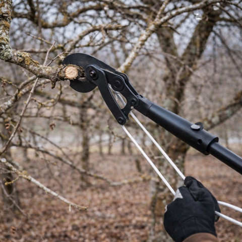 foarfeca-de-taiat-crengi-tip-nicovala-hasinto [1]