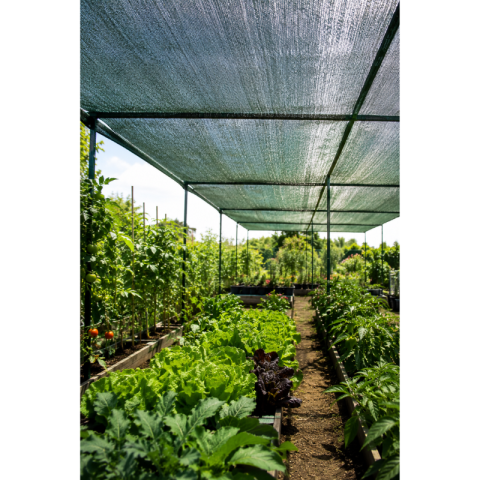 Plasă de Umbrire 2 x 10 m, 80 g/m², HDPE [2]