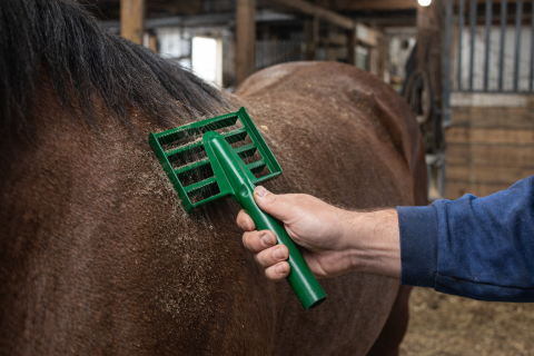 tesala-cai-si-vaci-hasinto [1]