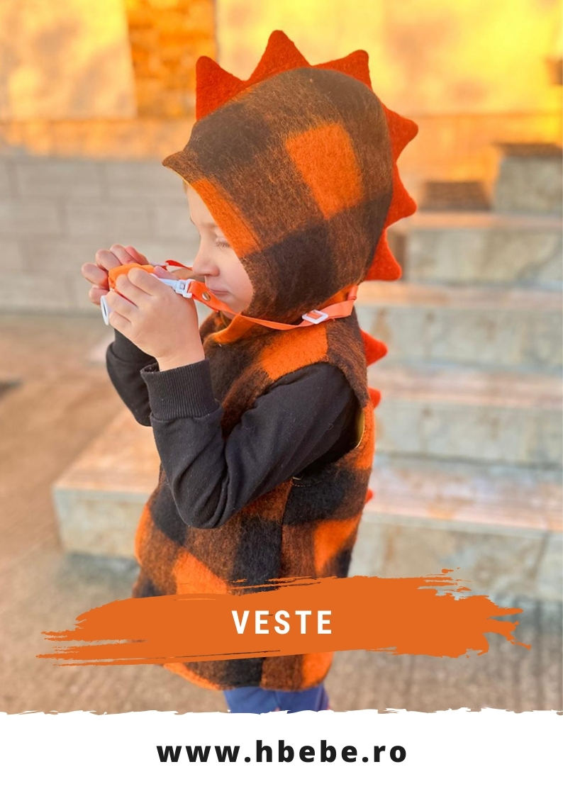 Veste din Lana