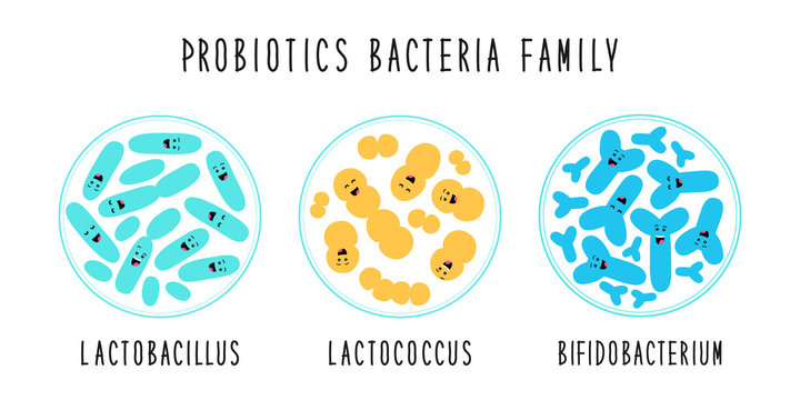 Despre Probiotice