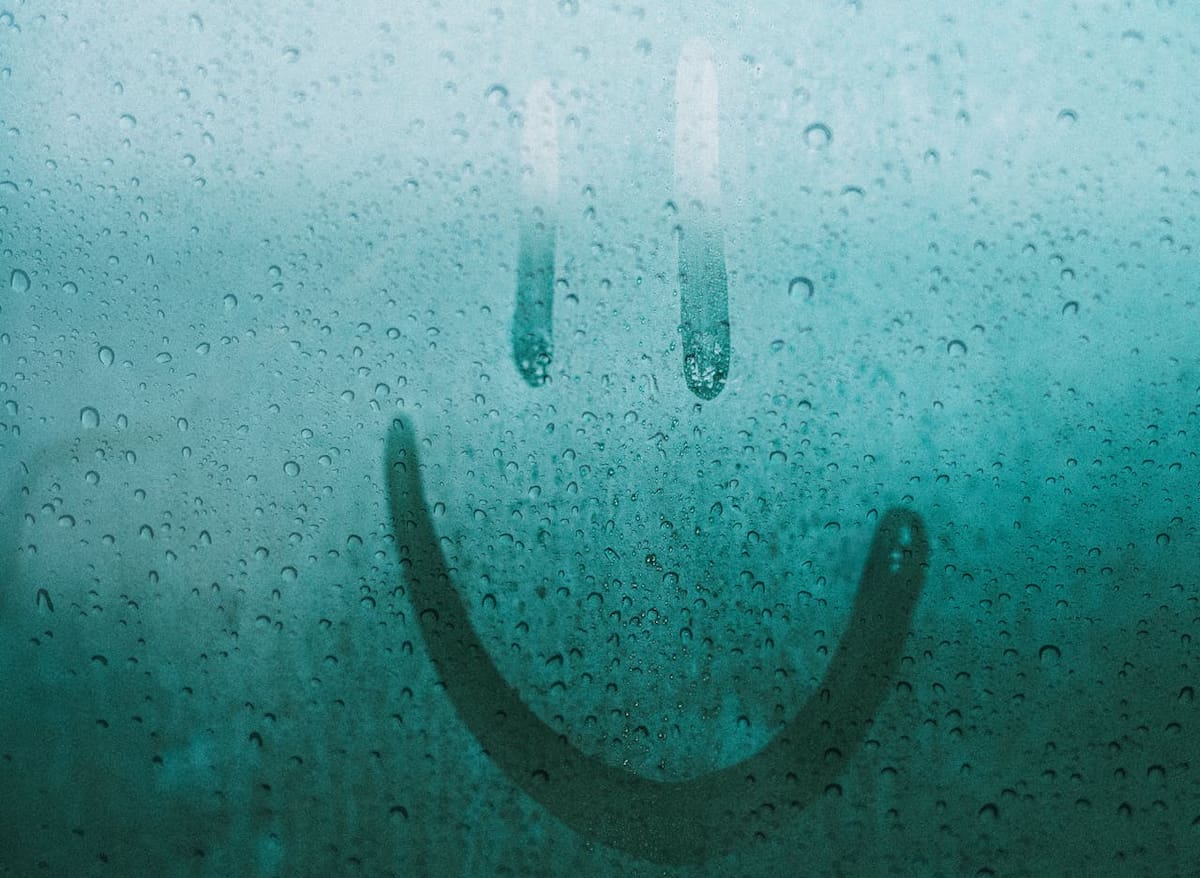 6 Condensul - un geam termopan cu condens pe care este desenat un smiley
