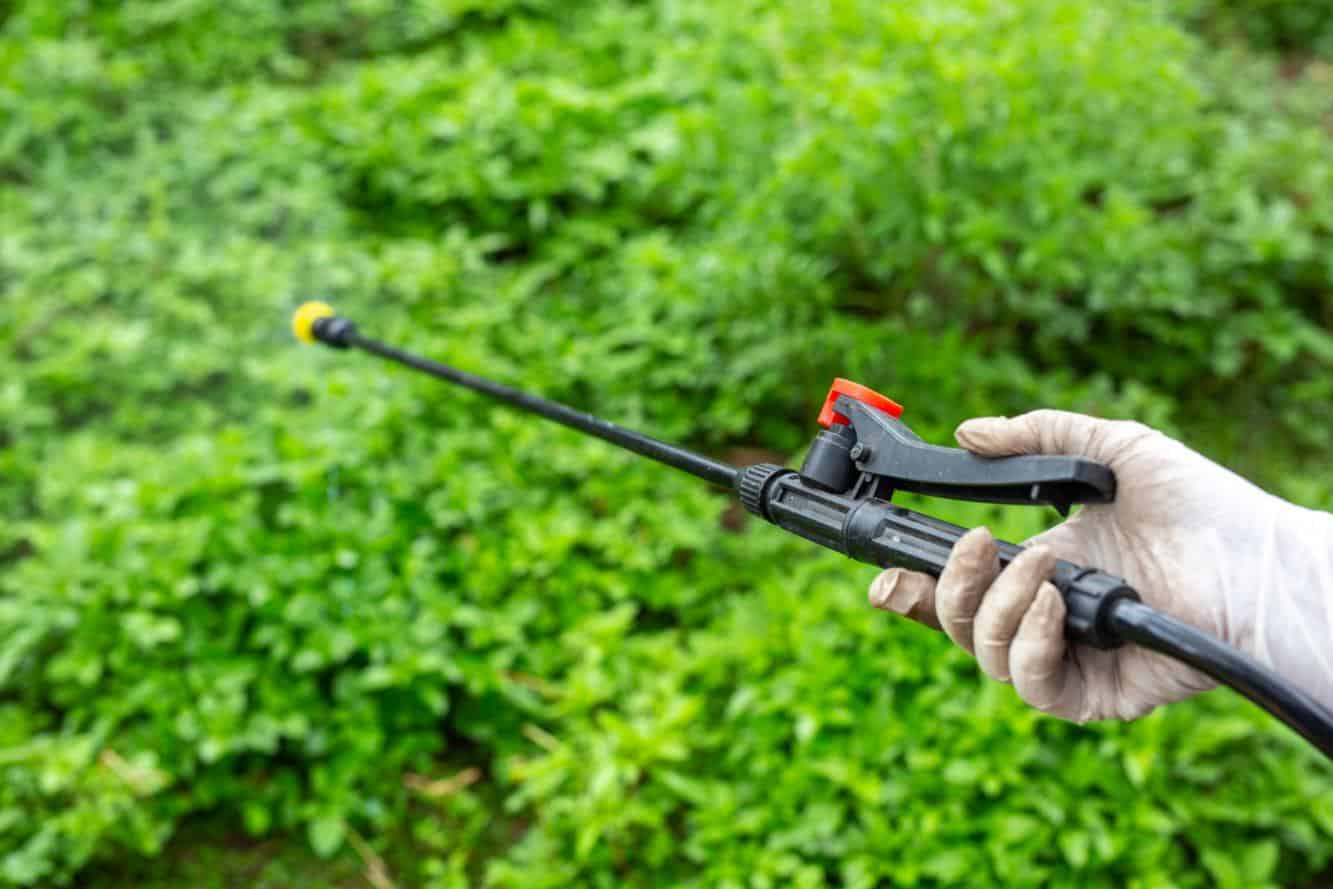 Ce substante se pot pulveriza cu o pompa electrica (fungicide, insecticide, ingrasaminte) si ce modele de echipamente sunt recomandate in 2026?