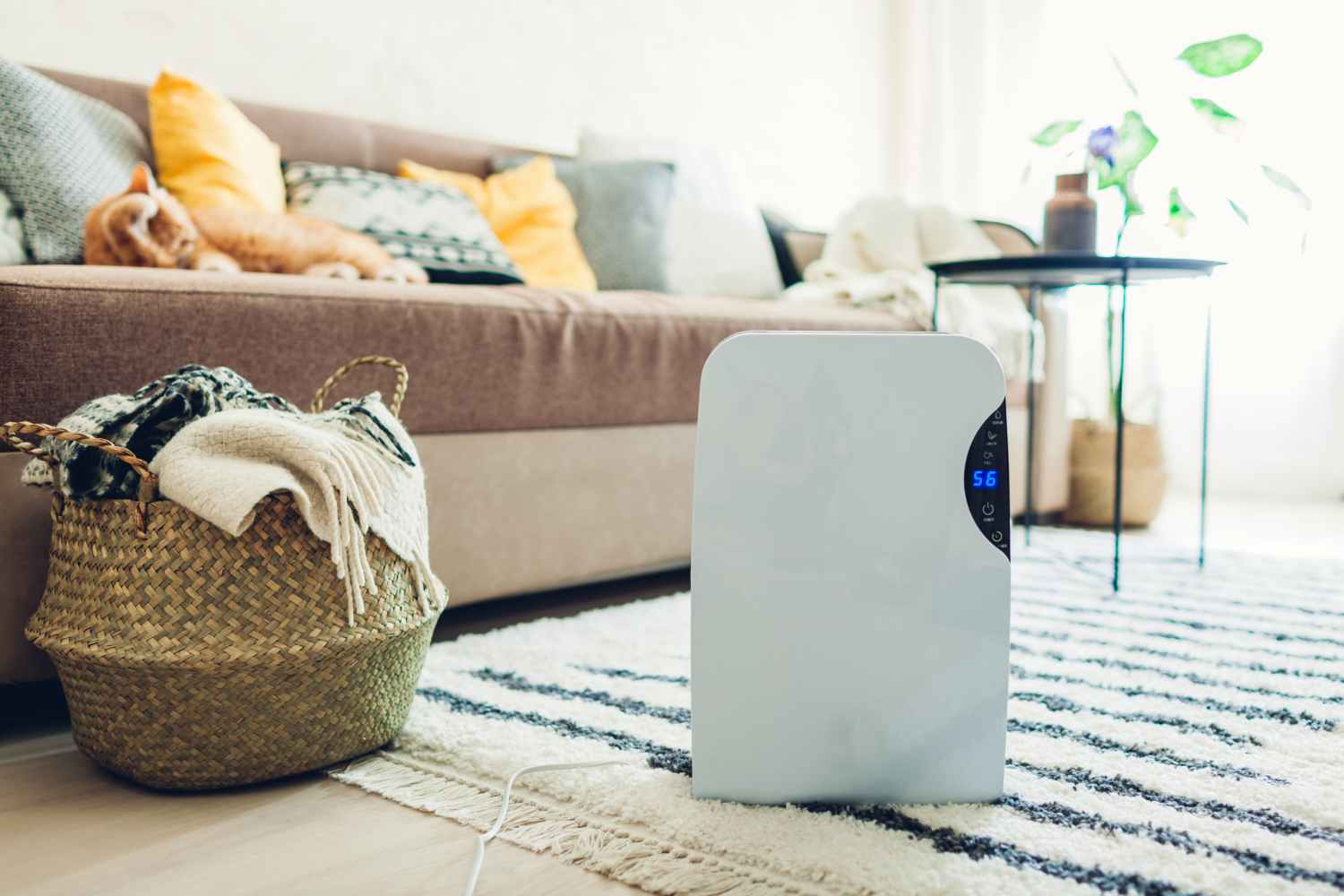 La ce foloseste un dezumidificator intr-o locuinta? Top produse in 2026 