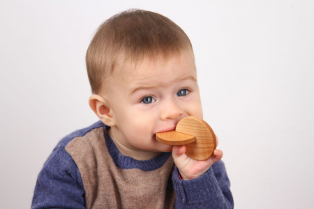 Biscuiti din lemn masiv pentru dentitie bebelusi [2]