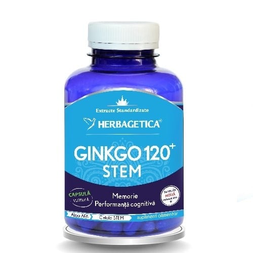 Ginkgo 120+stem, 120 capsule, Herbagetica [1]
