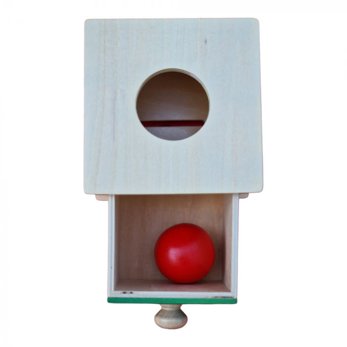 Cutia Permanentei Montessori - 2 in 1 - cu minge si discuri din lemn [11]
