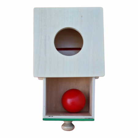 Cutia Permanentei Montessori - 2 in 1 - cu minge si discuri din lemn [10]