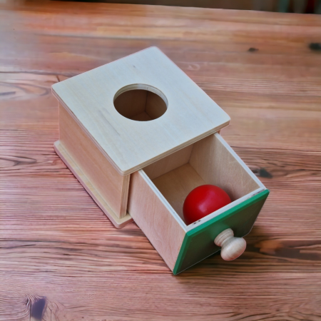 Cutia Permanentei Montessori - 2 in 1 - cu minge si discuri din lemn [4]
