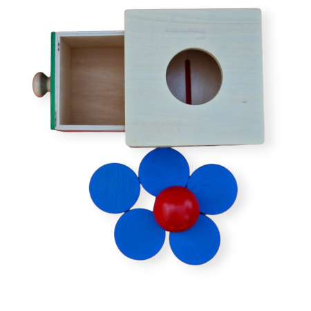 Cutia Permanentei Montessori - 2 in 1 - cu minge si discuri din lemn [7]