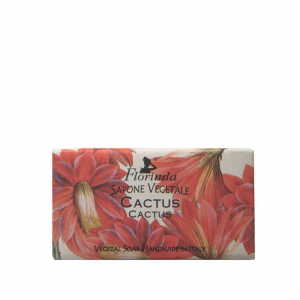 Sapunuri - Sapun vegetal cu floare de cactus Florinda, 100 g La Dispensa