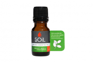 Aparatul locomotor - SOiL Ulei Esential Basil - Busuioc 100% Organic ECOCERT 10ml