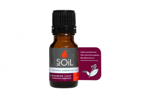 Aparatul locomotor - SOiL Ulei Esential Cinnamon - Scortisoara 100% Organic ECOCERT 10ml