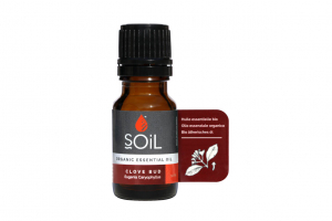Dantura si afectiuni gingivale - SOiL Ulei Esential Clove bud - Cuisoare 100% Organic ECOCERT 10ml