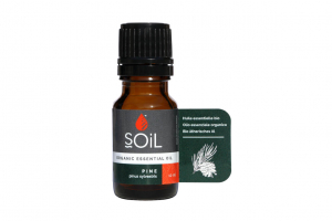 Aparatul locomotor - SOiL Ulei Esential Pin 100% Organic ECOCERT 10ml